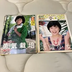 酒井法子さんグッズ⑦ 酒井 法子 | My Dear／NORIKO PartV | ビクターエンタテインメント