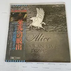 祈り、終われば 中島美嘉 メガジャケ CD エリス 無職転生 - メルカリ