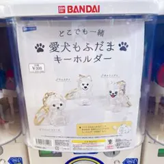 愛犬もふだまキーホールダー　ビジョンフリーゼ