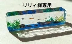 リリィ様専用ページです