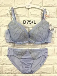 DailyAMOSTYLE528　デコルテビューティー上下セット　D75/L