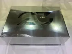 NIKE ゴルフ　ジョーダンレトロ6G NRG