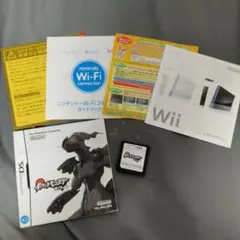 ポケットモンスター ホワイト ニンテンドーDS 外ケース無 ポケモン