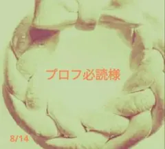 2026年最新】プロフ必読お願いします様の人気アイテム - メルカリ