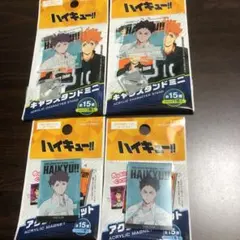 ハイキュー!! 及川徹 岩泉一 キャラスタンドミニ アクリルマグネット