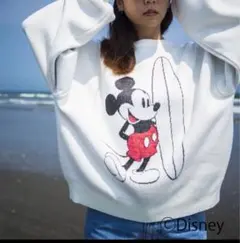 Local motionSurf Mickey