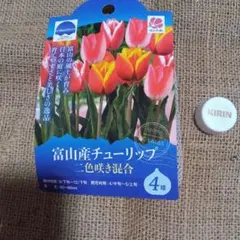 awe様 リクエスト 2点 まとめ商品