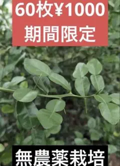 タカ様 リクエスト 2点 まとめ商品