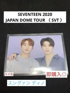 SEVENTEEN スングァン ディノ ペアトレカ