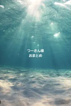 つーさん様 おまとめ