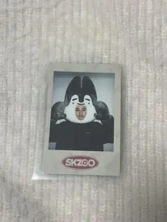 スキズ バンチャン トレカ 値下げ不可❌