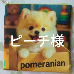 ピーチ様おまとめ