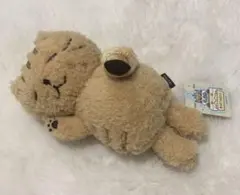 2025年最新】ふくふくにゃんこ チャチャ丸の人気アイテム - メルカリ