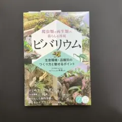 爬虫類と両生類の暮らしを再現 ビバリウム 生息環境・品種別のつくり方と魅せるポ…