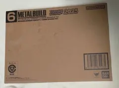 METALBUILD フリーダムガンダム　コンセプト2 スノースパークル