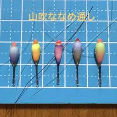 ハエ釣り、タナゴ、雑魚用　浮き 2025年最新】タナゴ 浮きの人気アイテム - メルカリ