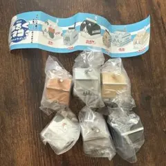 みるくネココンプリートセット