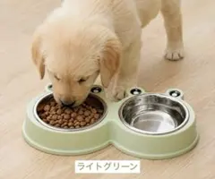 ペット食器 犬猫食器 2個横並び ライトグリーン ステンレス フードボウル