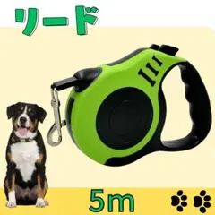 Item thumbnail for item 1adefb30-059c-4cb4-9200-b90c80bf09a8