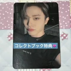 TREASUREジョンファン　reboot コレクトブック　トレカ