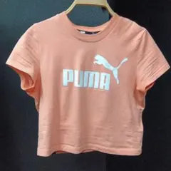 PUMA クロップドTシャツ S オレンジ NIKEスポーツブラ付き