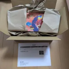 ポケモンカード ポケモンセンター ヒロシマ スペシャルBOX