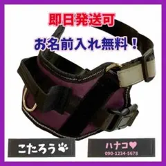 Item thumbnail for item 14949b99-ccc3-4a86-b48b-b414e6a4a344