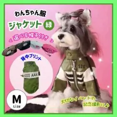 ペット用セットアップ