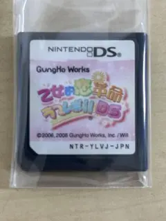 DSソフト　乙女的恋革命　ラブレボ!!DS