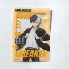 WINDBREAKER 桜遥 クリアカードコレクション
