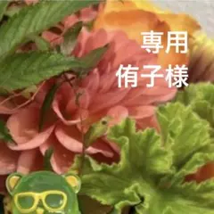 専用ページ 侑子様