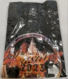 2026年最新】b'z pleasure 2023 stars tシャツの人気アイテム - メルカリ