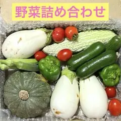 新鮮野菜セット　野菜詰め合わせ　コンパクトのサムネイル