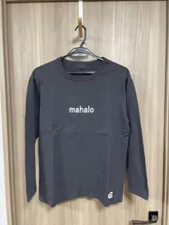 Item thumbnail for item 43f97562-45d2-4545-a864-7aa0616e8d77