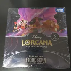 2026年最新】ディズニーロルカナ boxの人気アイテム - メルカリ