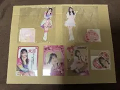 AKB48 ぬいぐるみキーホルダー 花田藍衣 - メルカリ