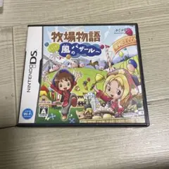 牧場物語 ようこそ!風のバザールへ　ds 風のバザール
