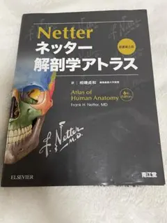 ネッター 解剖学アトラス 第6版