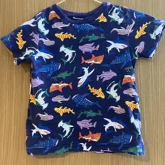 サメ　日本製　綿100パーセント　半袖Tシャツ　moujonjonのサムネイル