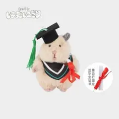 【日本未発売】はむにぎり　ぬいぐるみ着せ替え服《卒業》シリーズ　きなこモデルのサムネイル