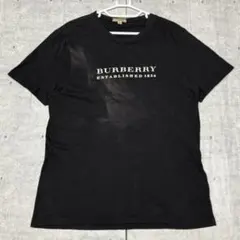 BURBERRY LONDON SLIM FIT 半袖Tシャツ ビッグロゴのサムネイル
