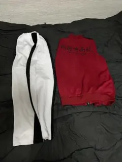 Item thumbnail for item 81960cbd-9586-4eeb-90c3-c39ee3647cc3