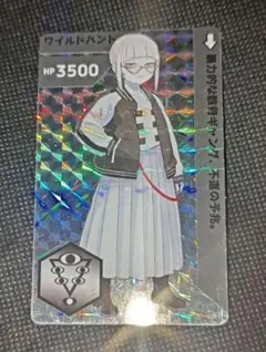 science patrol サイレンスパトロール ワイルドハンド