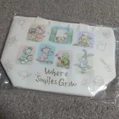 ディズニー　ダッフィー＆フレンズ　ウェアスマイルズグロウ　スーベニアランチケース