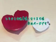 専用ページです【保冷保温.おにぎりポーチ.猫柄.おにぎり柄.ピンク