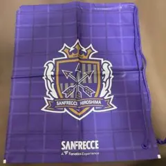 Item thumbnail for item 004fa188-0a8f-48d1-ac1b-07c759945d6d