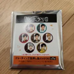 ハイキュー!! 缶バッジセット