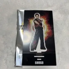 Item thumbnail for item 7dd4cdde-1e1d-4a02-8129-a82701c26f84