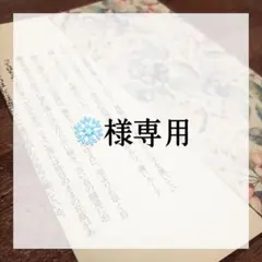 ⭐︎ ❄️専用