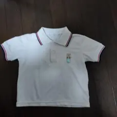 Item thumbnail for item 91dd8337-032b-48a8-bfe4-6eec409de017